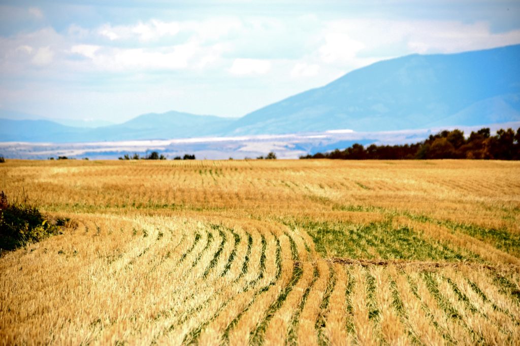 Vor Ort Kontrolle So Verhalten Sie Sich Richtig Agrarrecht M Nchen